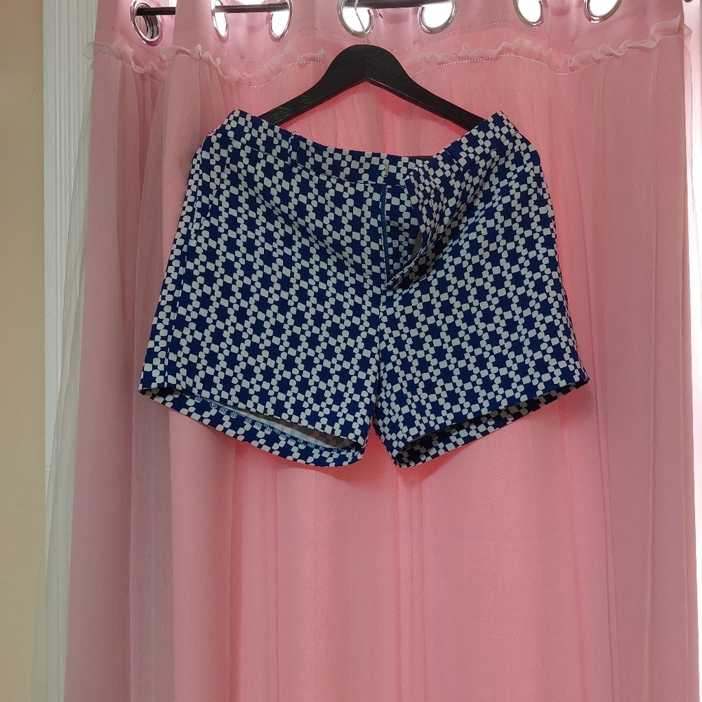 Banana Republic Blue And White Shorts (Size 8)